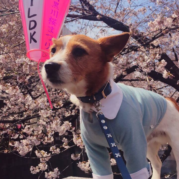 3ace34a5 583f 4d64 af56 f5daa7c4e5f0