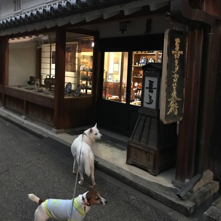 3acf2718 9ae2 4e1d aff2 cefcd8200517