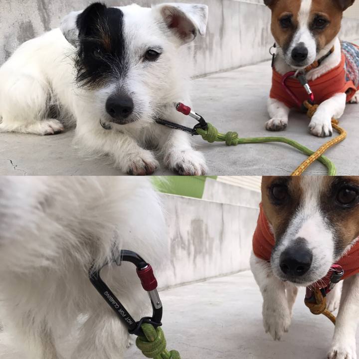 3acf53cd 6e48 42ca 9608 34614beb7199