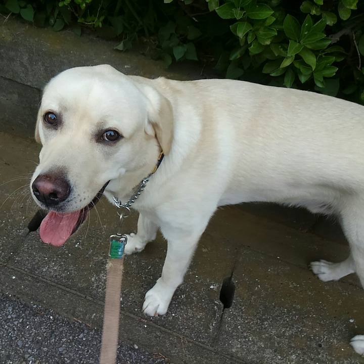 3acf5f84 8180 4ce4 8f5b 45ddee8e6297