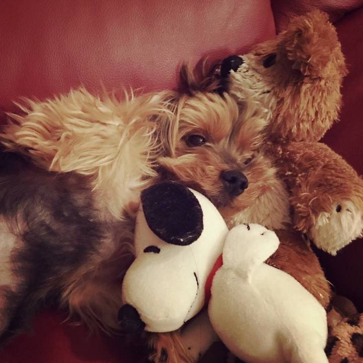 3acf8164 4ca9 4c1c 9acc 551ddce15fad