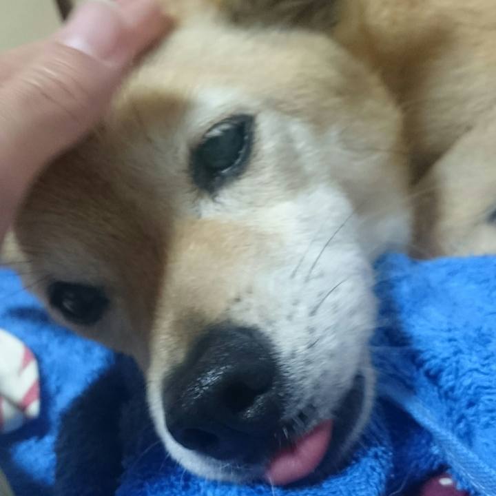 3acfb5ed 177c 46b7 bf43 a5307def3142