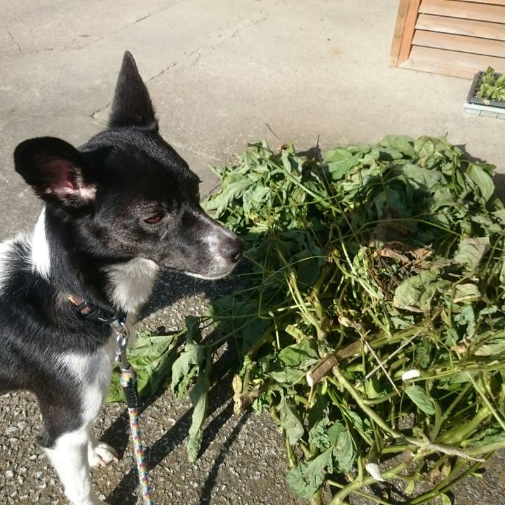 3acfdca7 872d 4c6f 98f8 c21361415c48