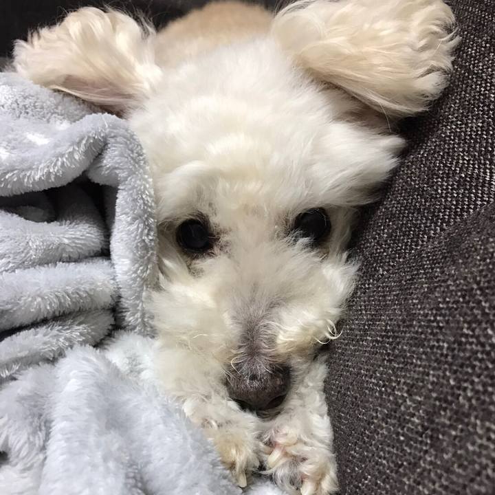 3ad04466 d57a 4771 bc40 244e71af39a4