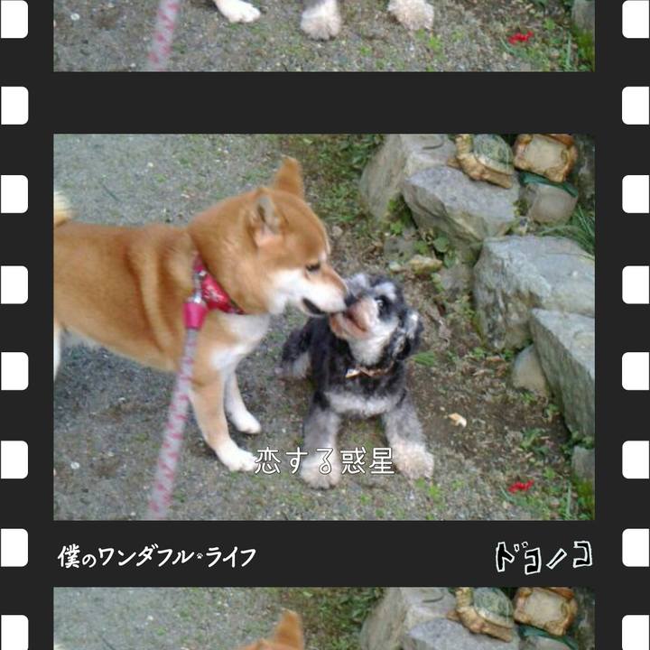 3ad1cc15 6709 4f5b 8281 e6bc96dc8f05