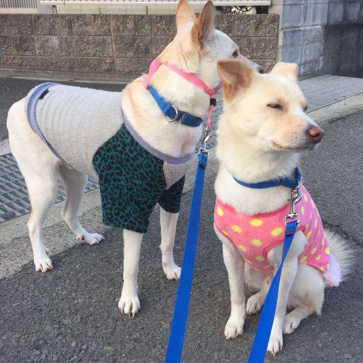 3ad221bb 8be0 432d b940 2985b708b884