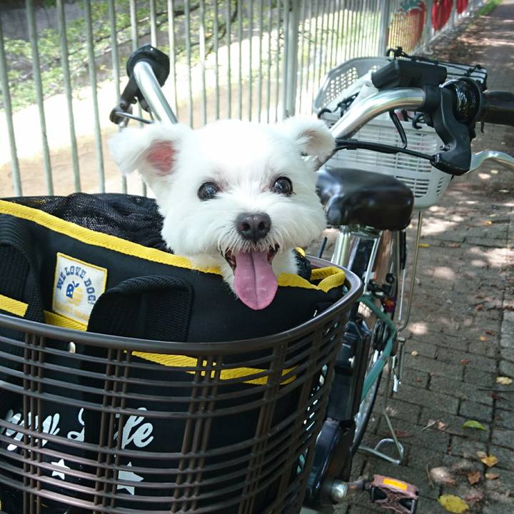 3ad2c219 d26b 4477 b909 54fafdd974b9