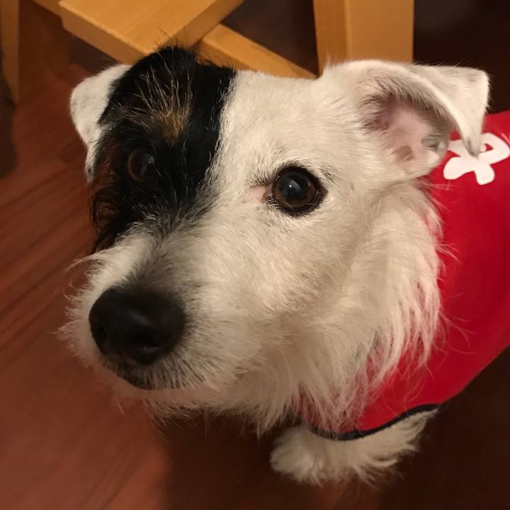 3ad2e861 e840 43ce 8faf a5c198561ade