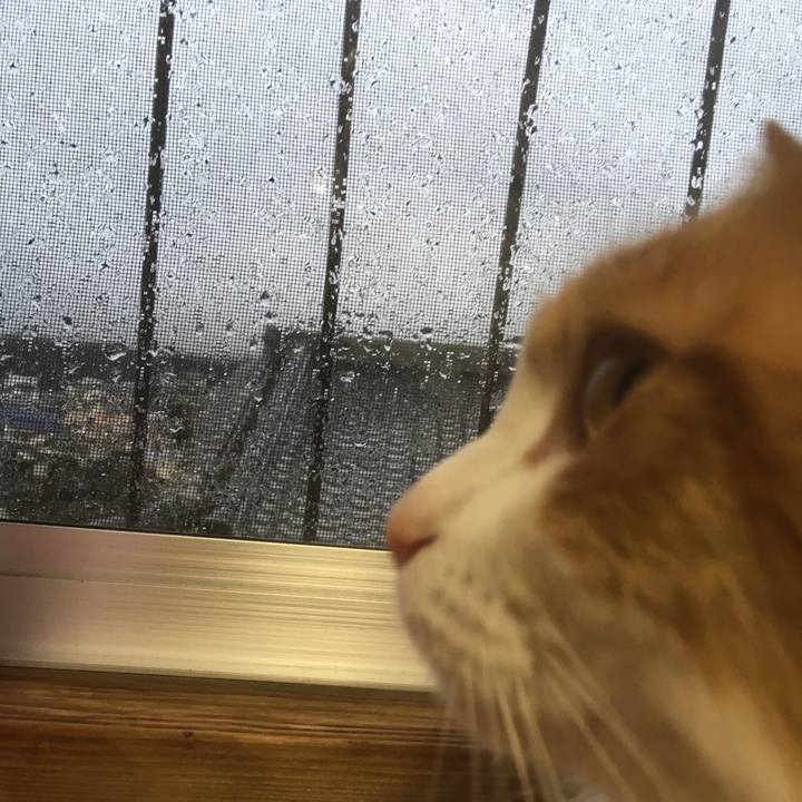 3ad3694f 1f2d 438e a0d5 7291abbb5b63