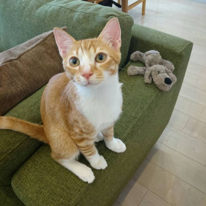 3ad38f86 c992 4446 bd5a bcf8daf636ab