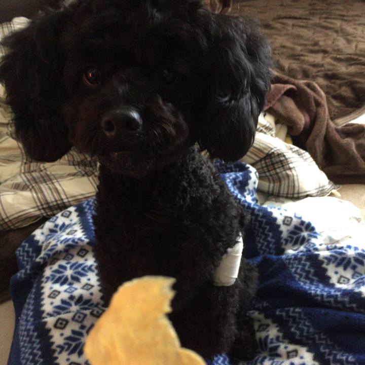 3ad39f2d a50d 41ce 897f 449fa1b5be9b