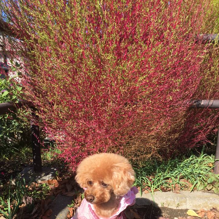 3ad3a136 31b3 49a7 8e47 e326a2db6f7a