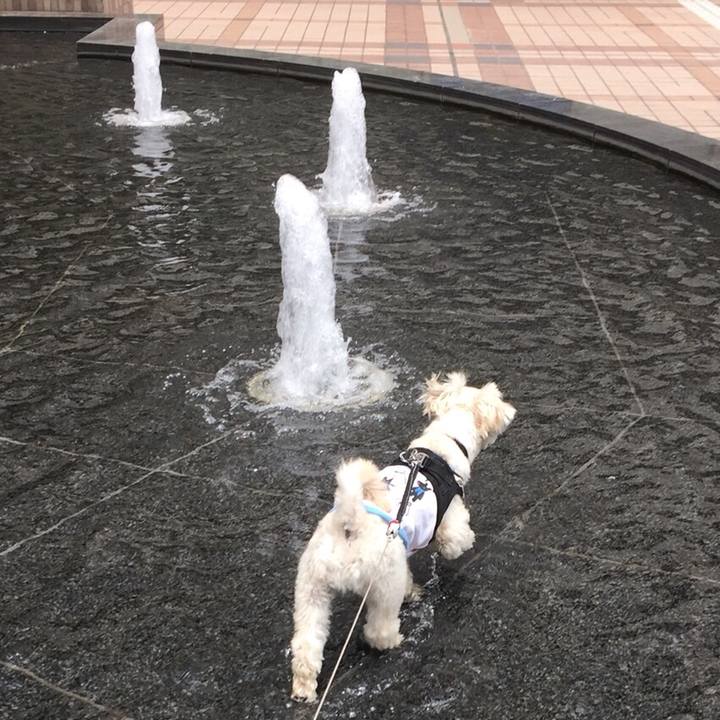 3ad3fde9 b043 440d 9c20 6fa9b23b3b54