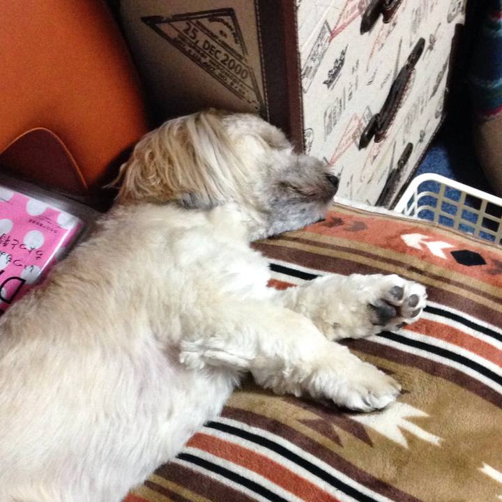 3ad4213f 9aac 48dc b552 d951964b71ee