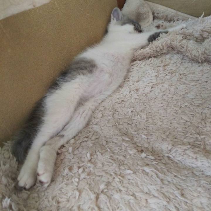 3ad47af7 fe80 4e34 ad05 5021fd2776ee