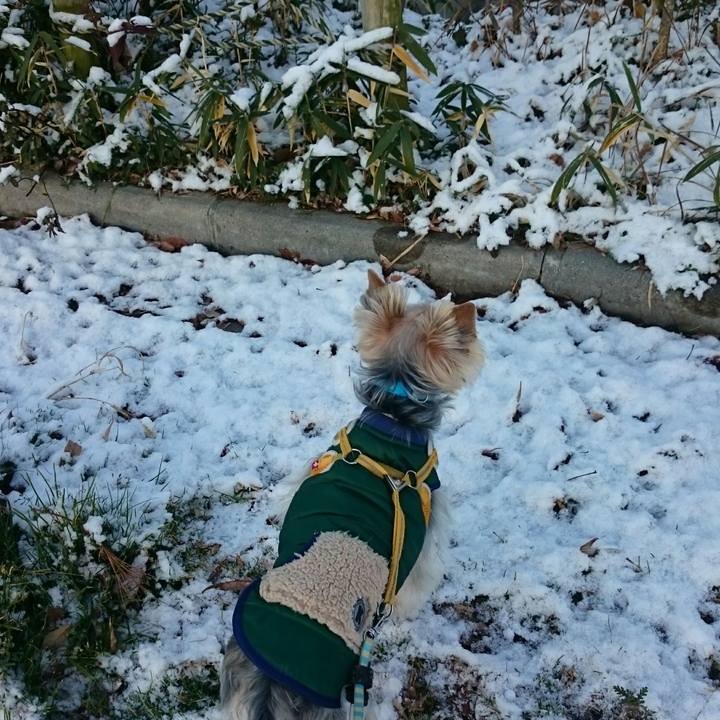 3ad4dcbc 1997 48f5 a67a 7ca7cdc749eb