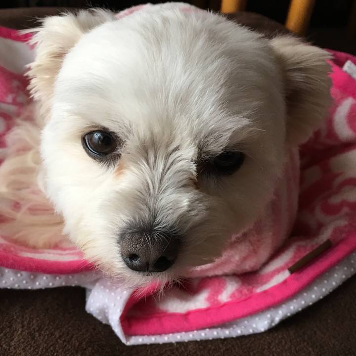 3ad52137 4cf6 4b4f 987d b6ce84744553