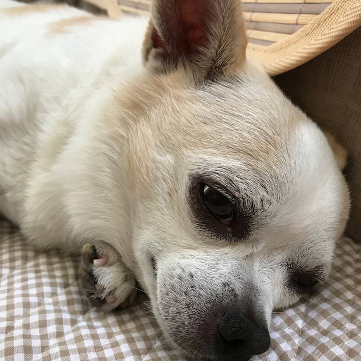 3ad5244f ad3e 4ead 9c9a 36df3033fc4f