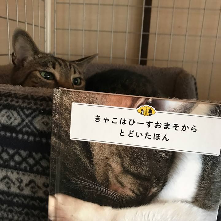 3ad5c1ea cd38 48f2 8727 b4010352962d