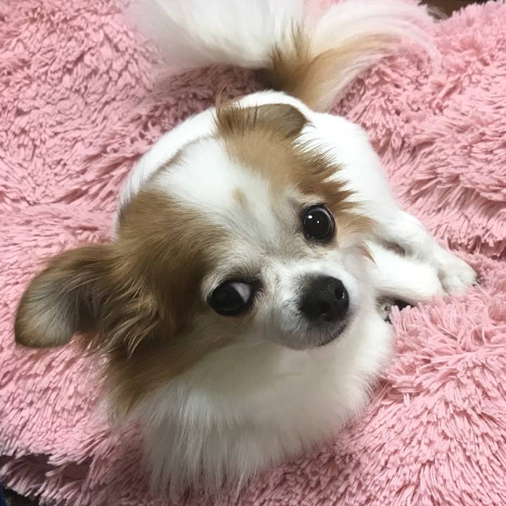 3ad5d32b 2a20 4e5d 8ed3 a305aaa60b60