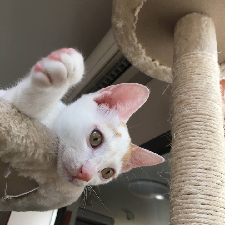 3ad5f619 6457 4dcb 8cd9 18f558cc7398