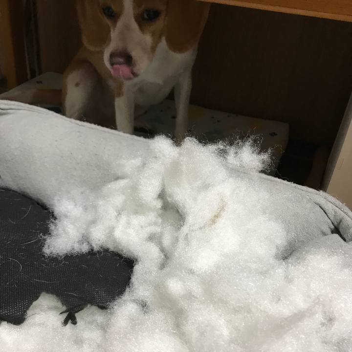 3ad67e4d 3439 48c4 b8e6 61b1f6102cfe