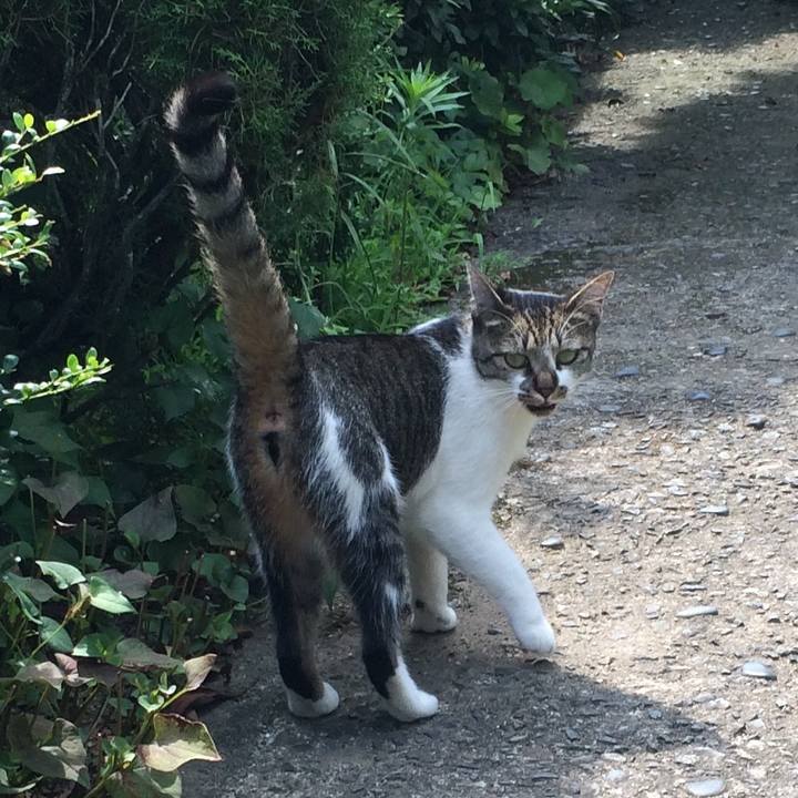 3ad6a72c 16b2 4066 a8d5 602ee8dcf494