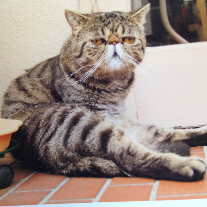 3ad73007 9d15 4fd6 9f7c fcd23aba2caf