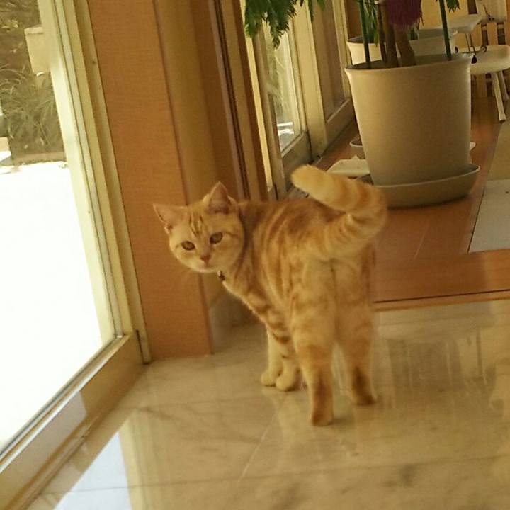 3ad77a8b a645 4998 9dcc 3a69026dd67c