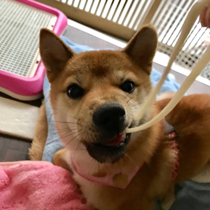 3ad82291 06da 4151 89ed e6649f44df3b