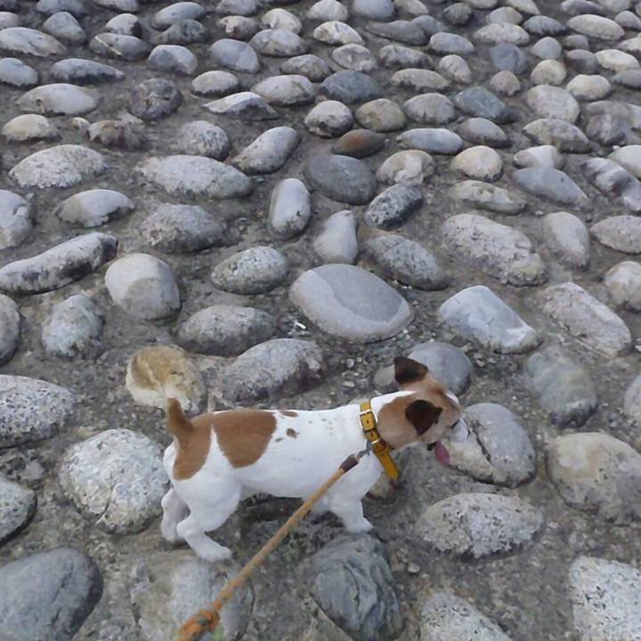 3ad8ef30 3ee6 4522 a036 4db98b01c533