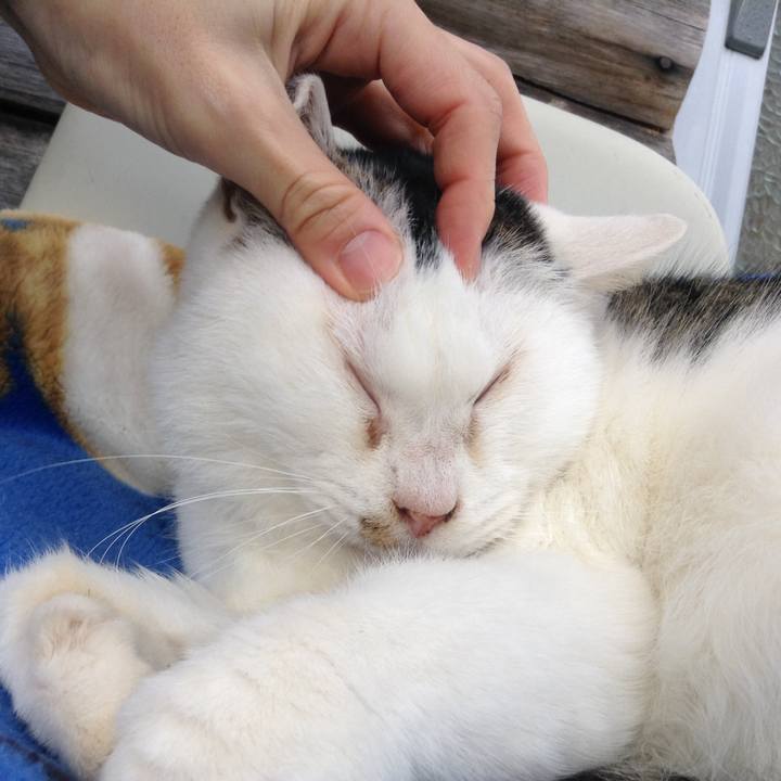 3ad916c8 33bc 4893 9595 fd0520f14016