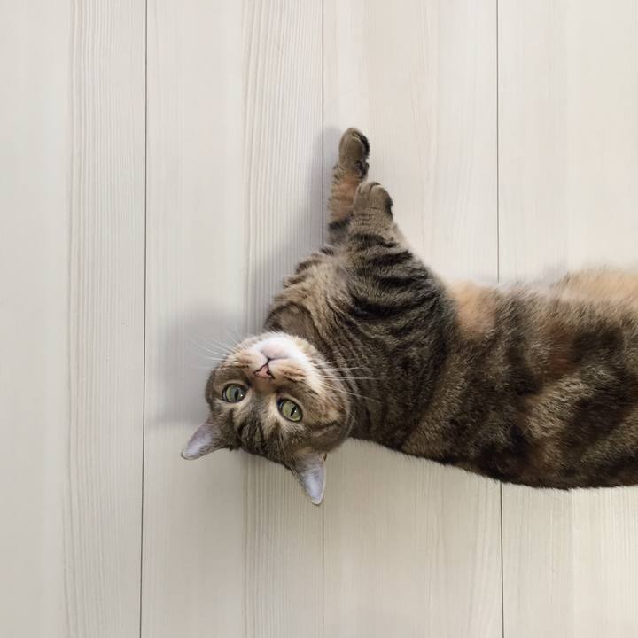 3ad94dd6 5082 4e76 a512 8e5f25cbdf3d