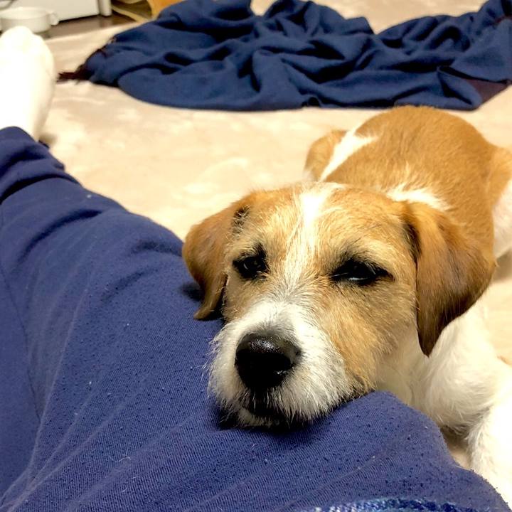 3ad96288 a534 4032 8182 eedc51142faf