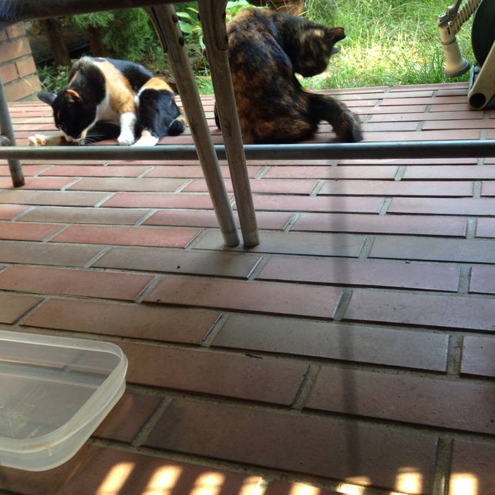 3ad99889 0dc8 47bd b50d dcf9430a49fe