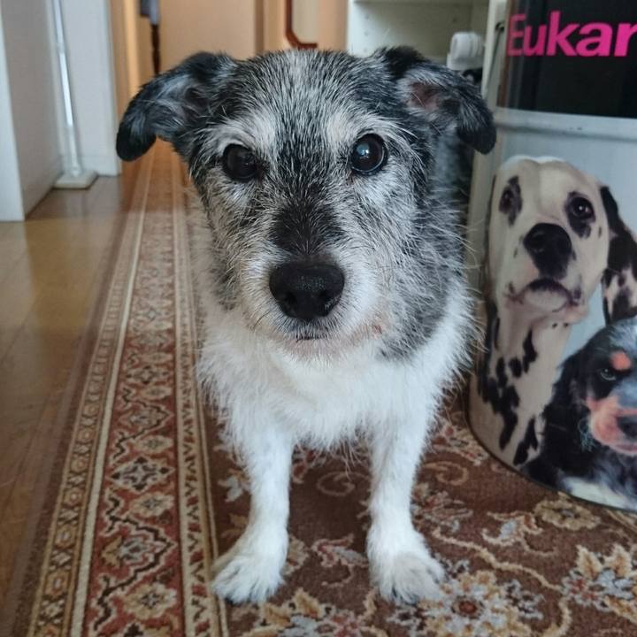 3ada343a e588 4cb4 a654 304cc879758e