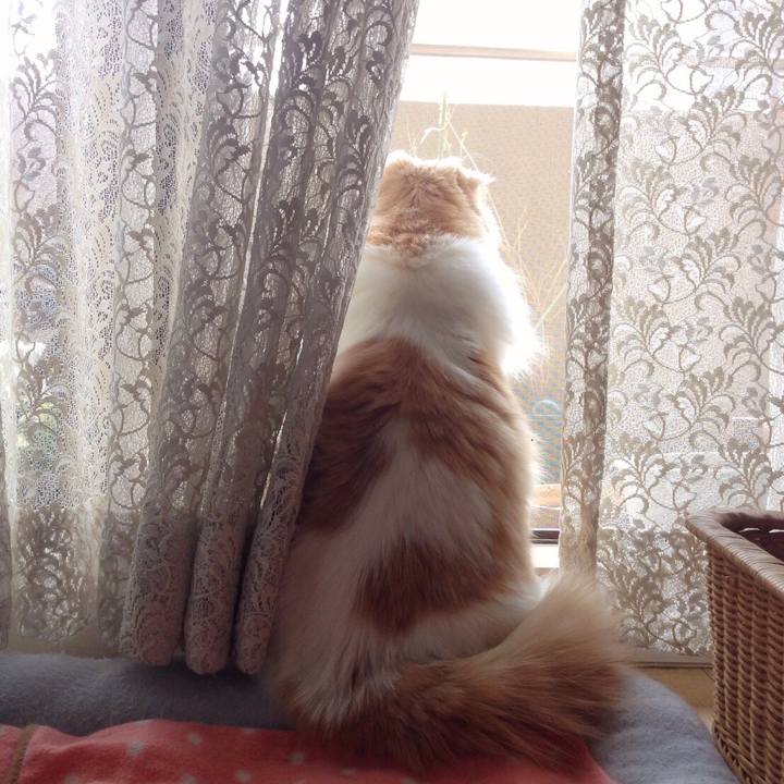 3ada7ae1 f899 4dc2 9df0 246cfbf67438