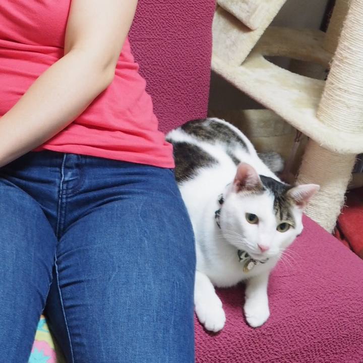 3ada9c85 8de4 4eaf 9e8d b651ceca9a39