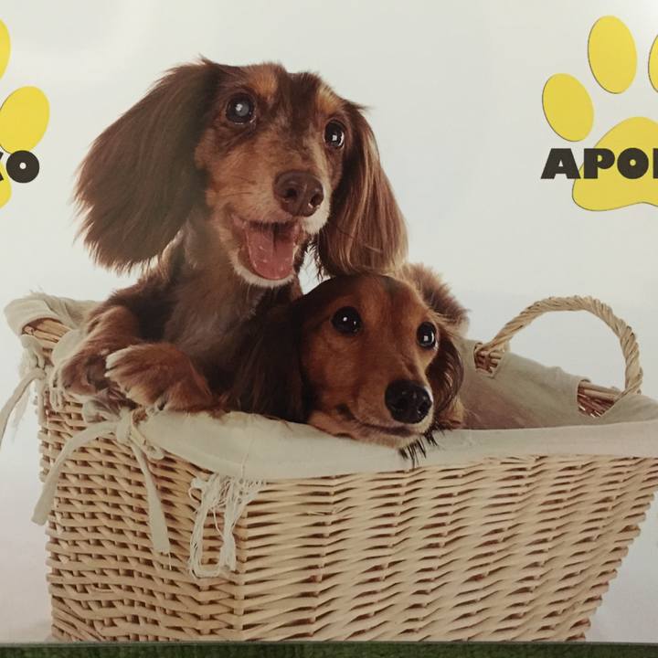 3adab812 bbf0 4ef2 9547 1ee0705ee163