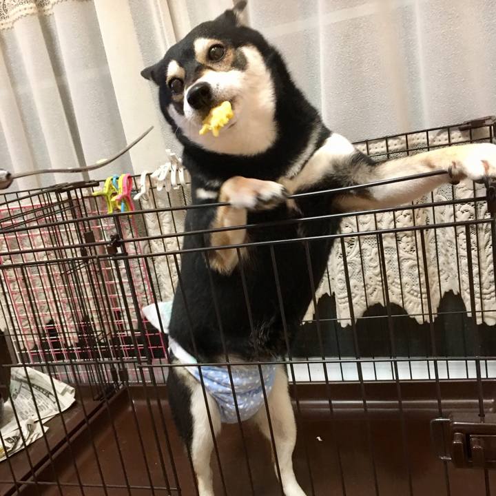 3adb824e 2c24 4d4e b051 8b070d650fd4