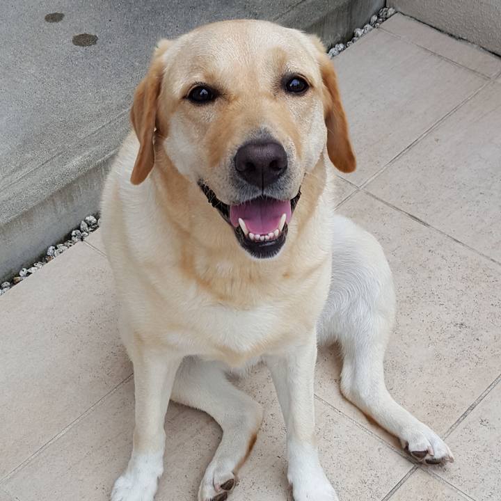 3adbbadf 6f8b 4016 9e22 a39b03be89cf