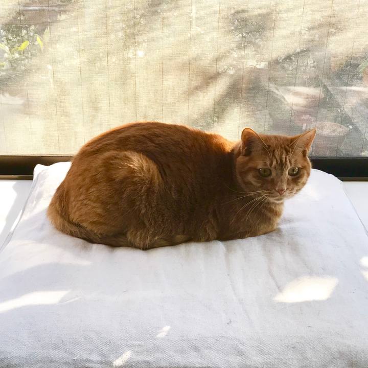 3adcc790 7d08 491e 9ec5 0d484751617c