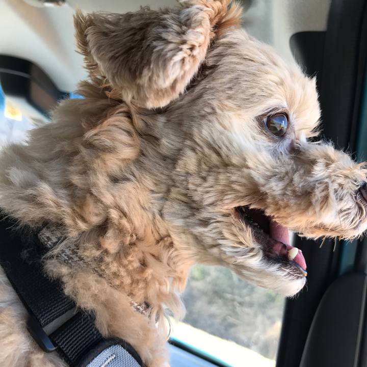 3add6011 5277 48ae ad30 db4bef112761