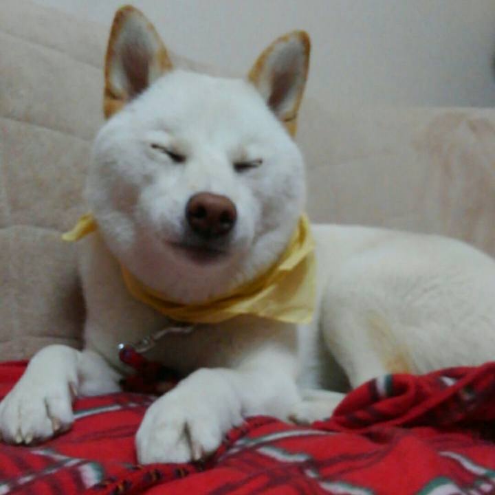 3addd723 dcb1 400d 8ea4 444cb7318e1a