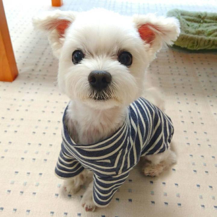 3addee80 e653 4324 925d f7dee9a15ee2