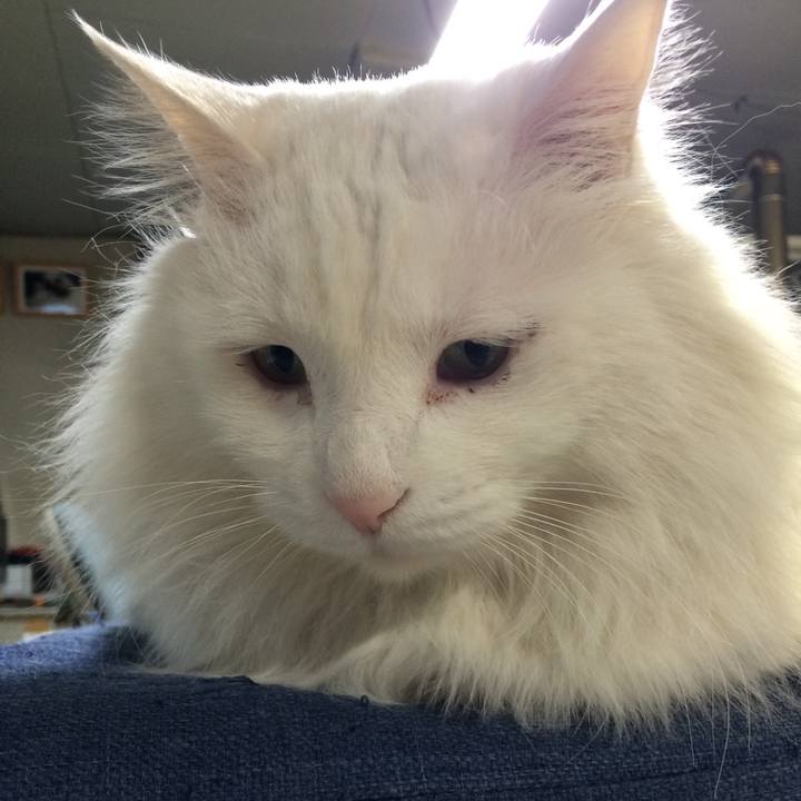 3ade2c34 d360 4438 a65c 0c911f33507e