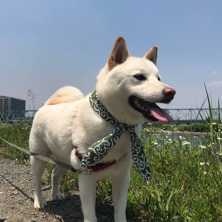 3ade7f47 cdb9 4c92 841a b5c34ec85125