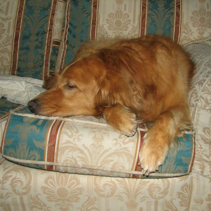 3adea8e1 9579 477b 9819 4a69b051261f