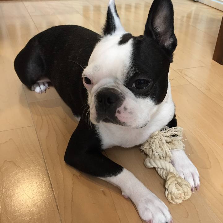 3adf8f78 912f 4960 8250 9622a8e8083d