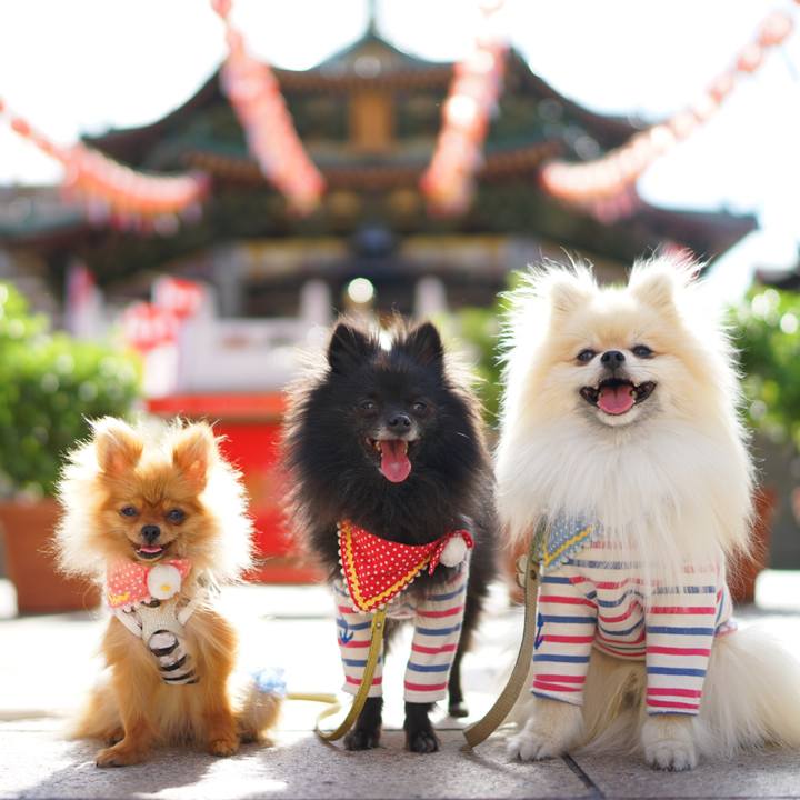 3ae10b9c dfb4 4b89 bc1c cb46c90d0117